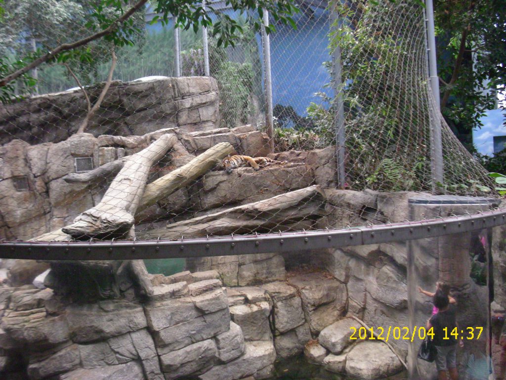 2012-02-04_mel_pics_00073