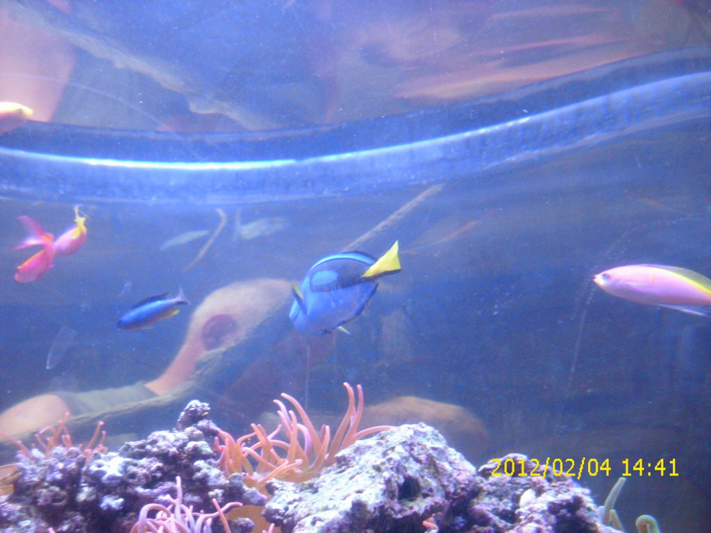 2012-02-04_mel_pics_00077