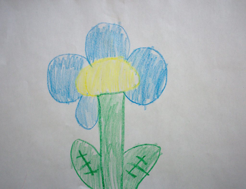 This is a nice blue flower.